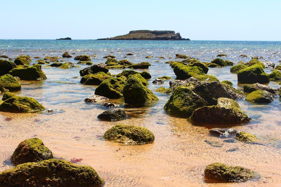 Sagres Sunny Room With Private Bathroom 300M From The Beach מראה חיצוני תמונה